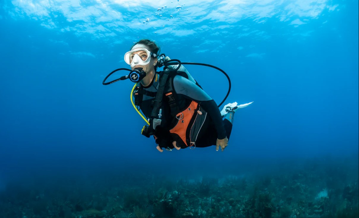 Gazebo Parts Direct Sales Store -Équipement De Plongé Soldes 2024 Dingtalk 20240428103212