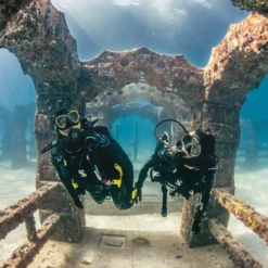 Détendeur De Plongée MK25 Evo BT/G260 Carbon Scubapro 2022 -Équipement De Plongé Soldes 2024 detendeur mk25 evo btg260 carbon scubapro 2022 5